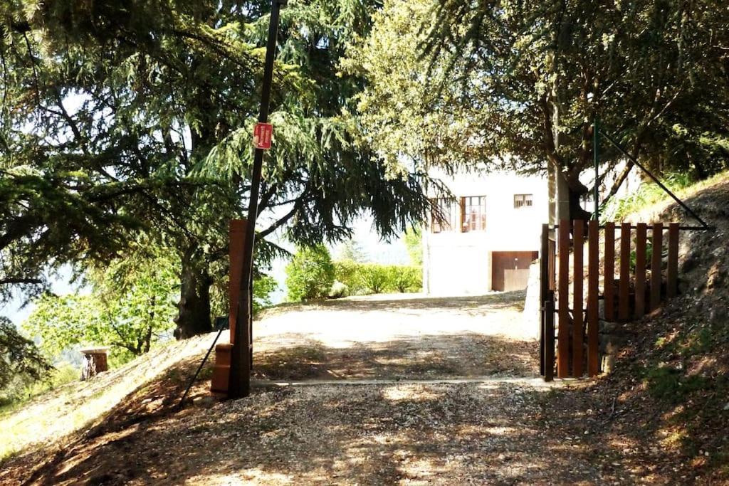 Chalet 14 pers avec vue panoramique et piscine chauffée Genolhac Extérieur photo