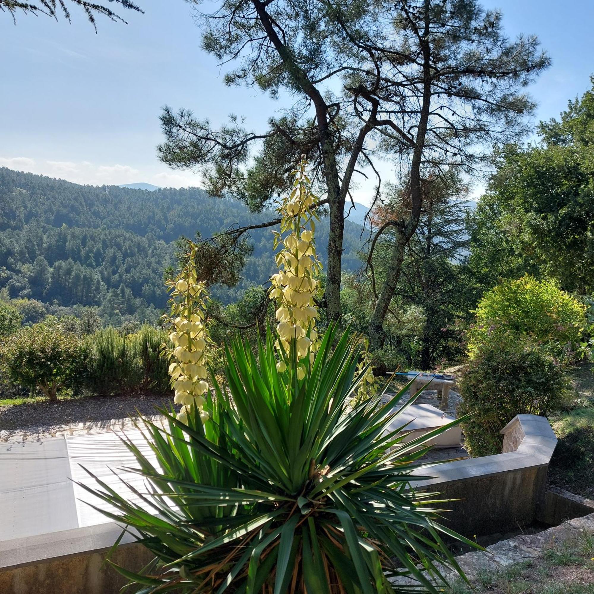 Chalet 14 pers avec vue panoramique et piscine chauffée Genolhac Extérieur photo